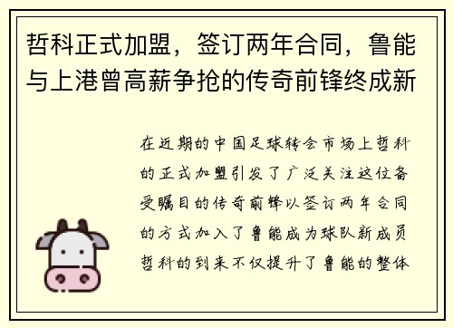 哲科正式加盟，签订两年合同，鲁能与上港曾高薪争抢的传奇前锋终成新成员