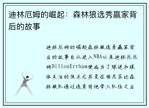 迪林厄姆的崛起：森林狼选秀赢家背后的故事