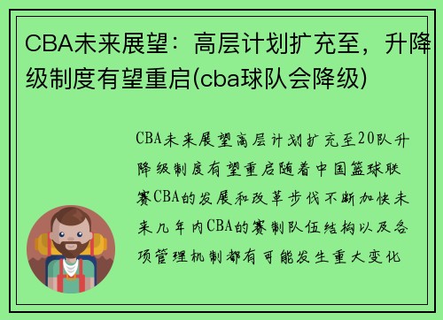 CBA未来展望：高层计划扩充至，升降级制度有望重启(cba球队会降级)